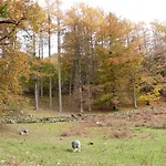別荘 Hazel - Woodland ボウネス＝オン＝ウィンダミア