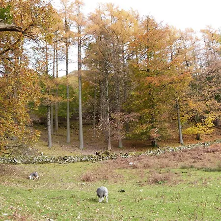 Holiday home Hazel - Woodland