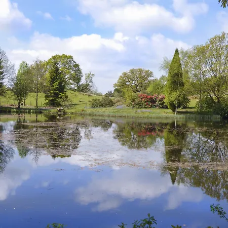 Hazel - Woodland Bowness-on-Windermere