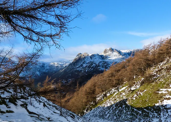 Hazel - Woodland بيت للعطل باونيس أون وينديرمير