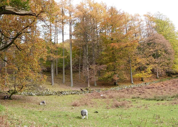 بيت للعطل Hazel - Woodland باونيس أون وينديرمير