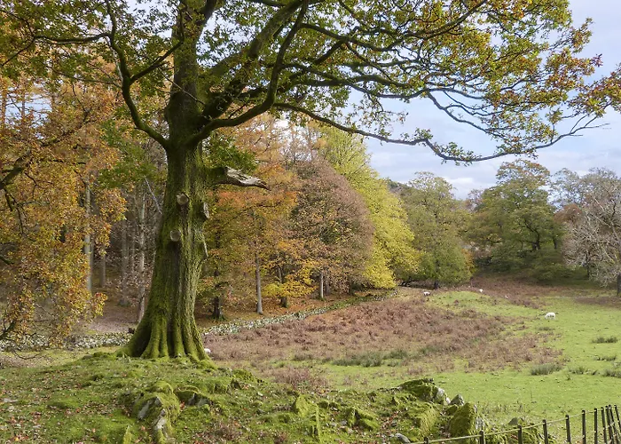 Hazel - Woodland بيت للعطل